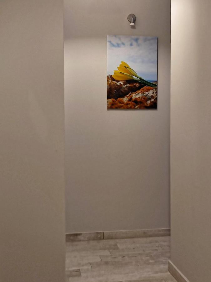 Palaiá Fókaia Seaview-Apartments מראה חיצוני תמונה